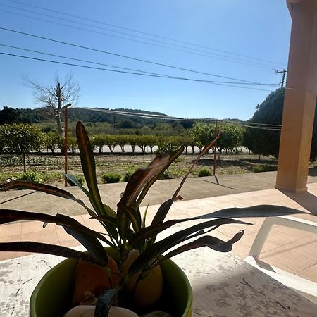 Garden View Appartment Kalavárda Kültér fotó