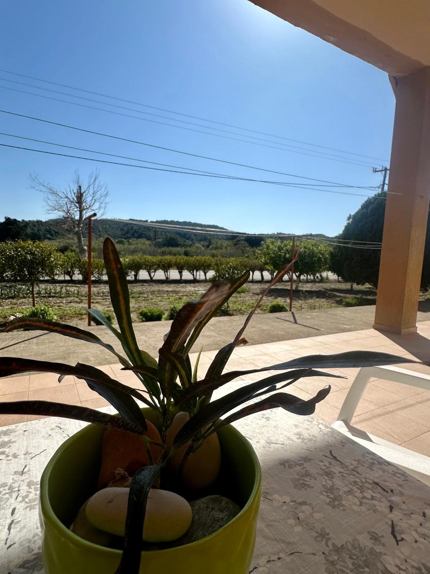 Garden View Appartment Kalavárda Kültér fotó